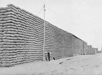125 000 zsák búza szállításra vár, Dél-Ausztrália, 1900 körül, az 